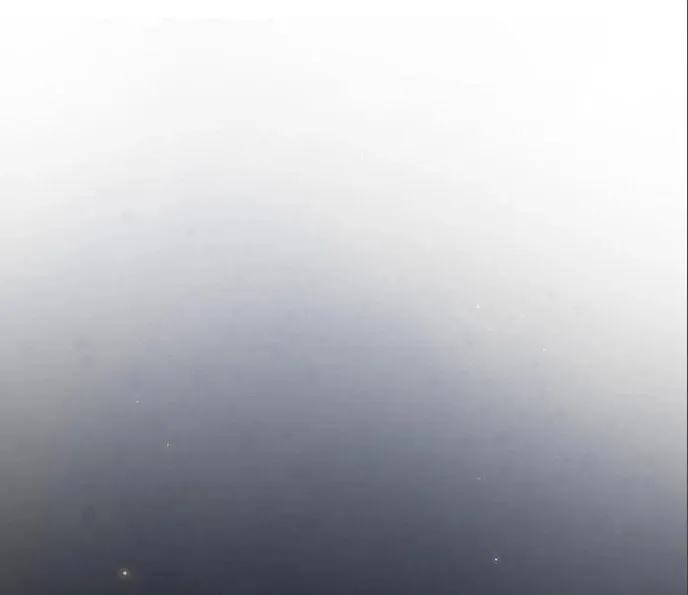 The Nebula