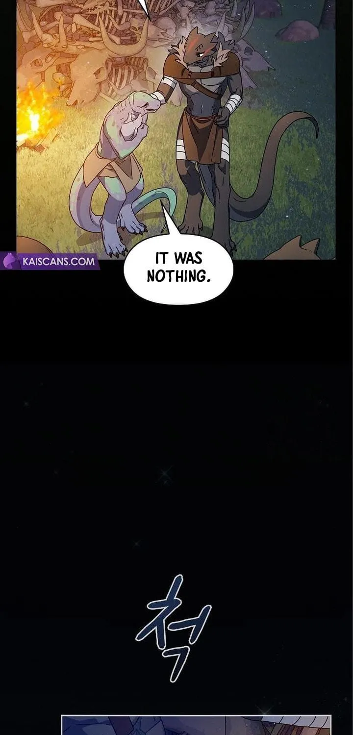 The Nebula