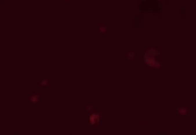 The Nebula’s Civilization Chapter 21 page 35 - 