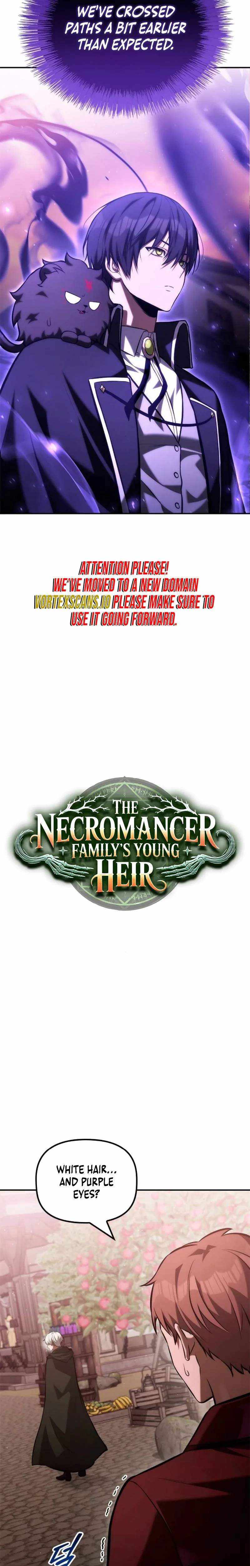 The Necromancer Family