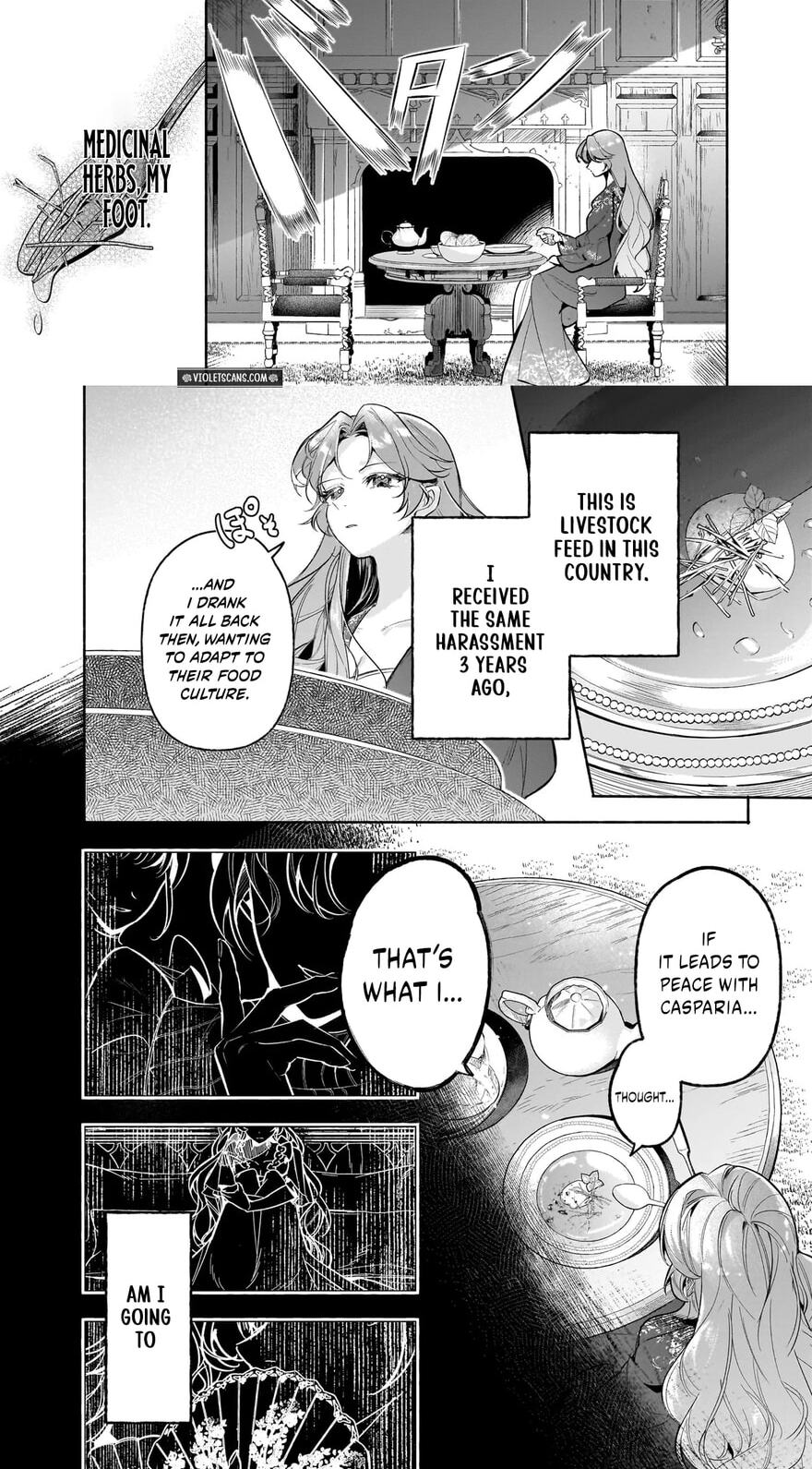 The Neglected Princess in a Foreign Land Doesn