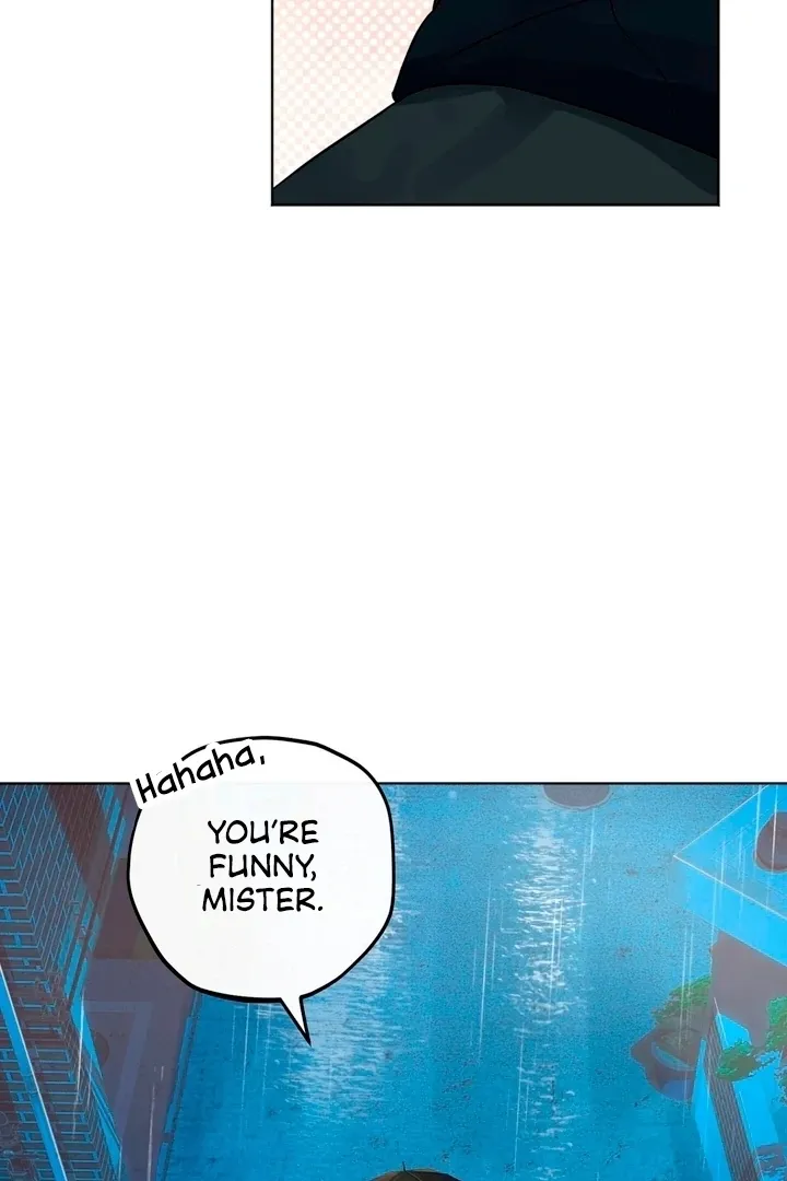 The Neighbor
