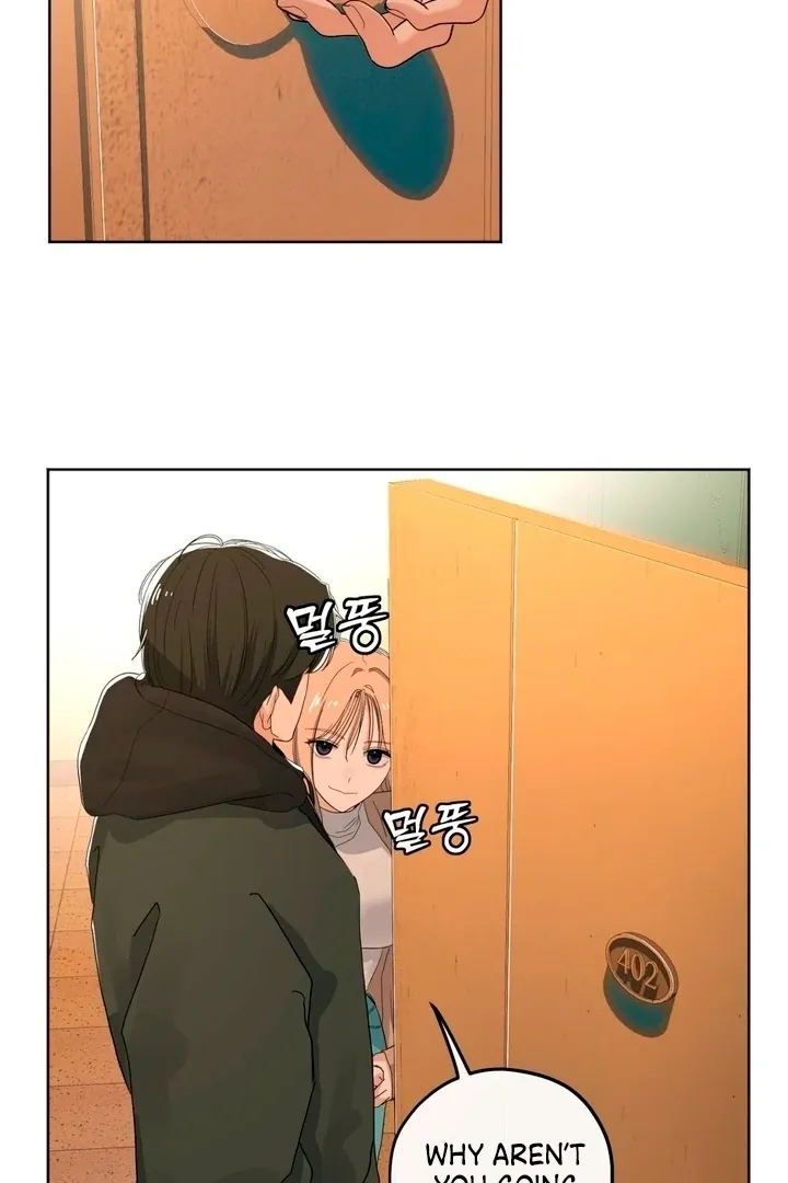 The Neighbor