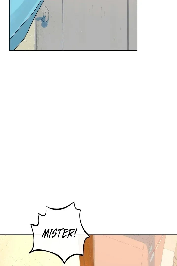 The Neighbor