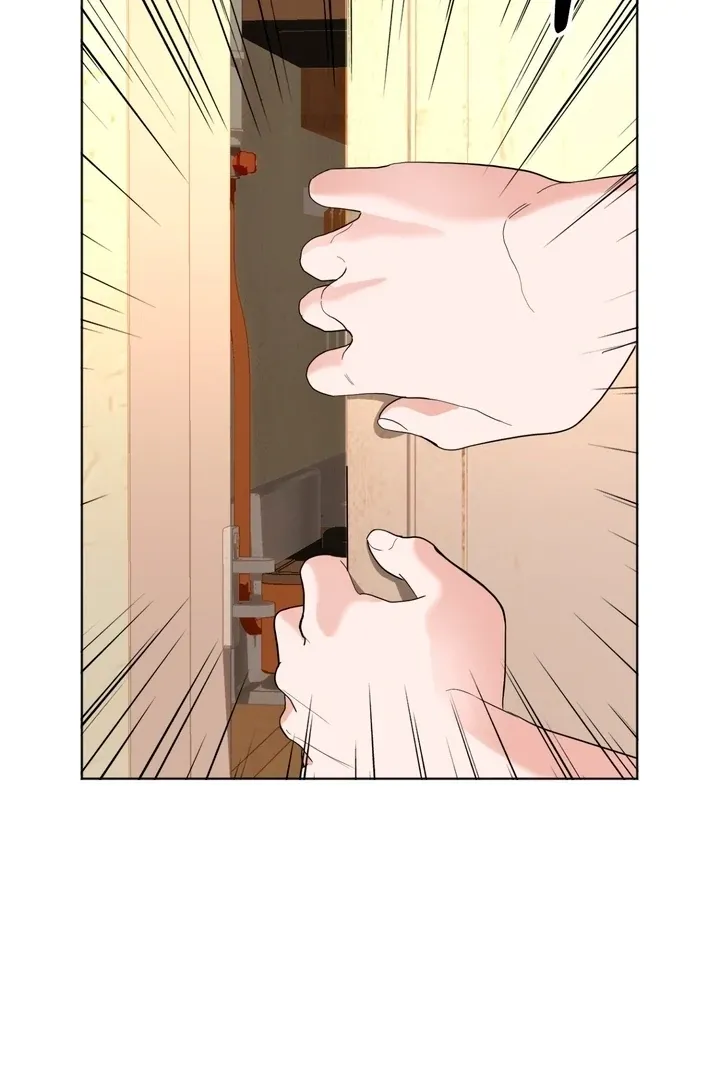 The Neighbor