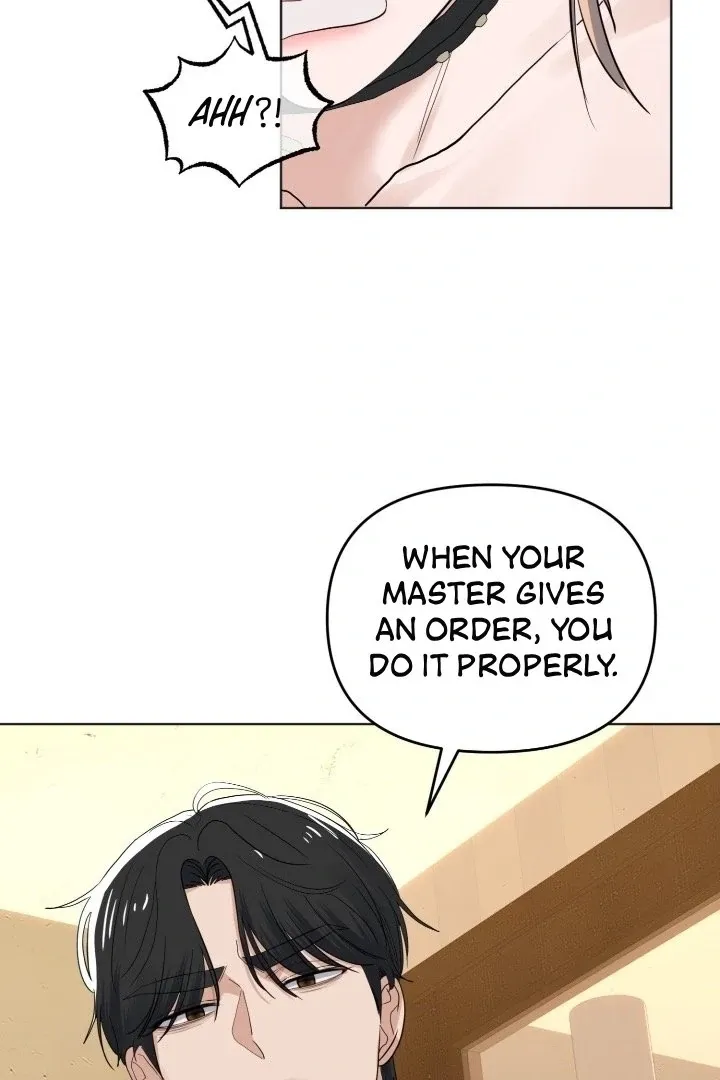The Neighbor