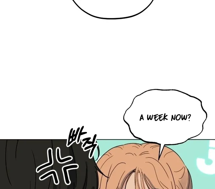 The Neighbor