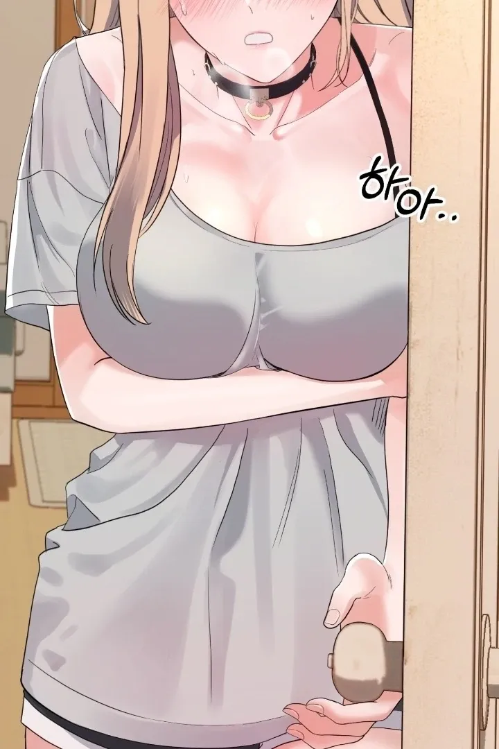 The Neighbor