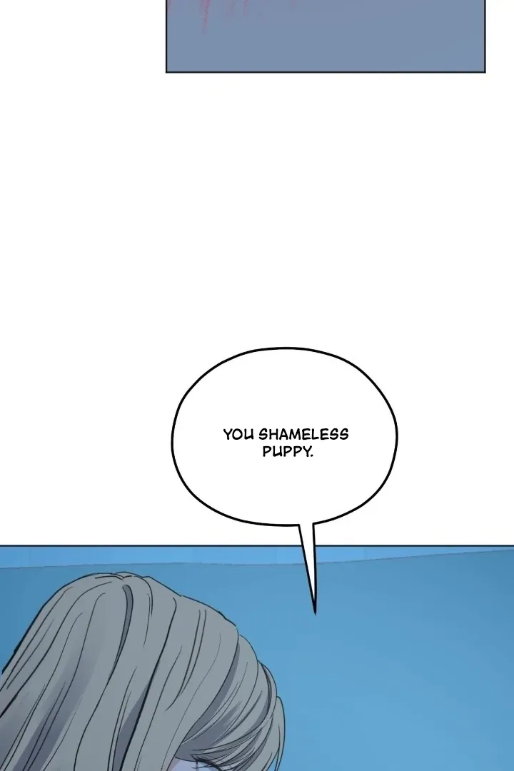 The Neighbor