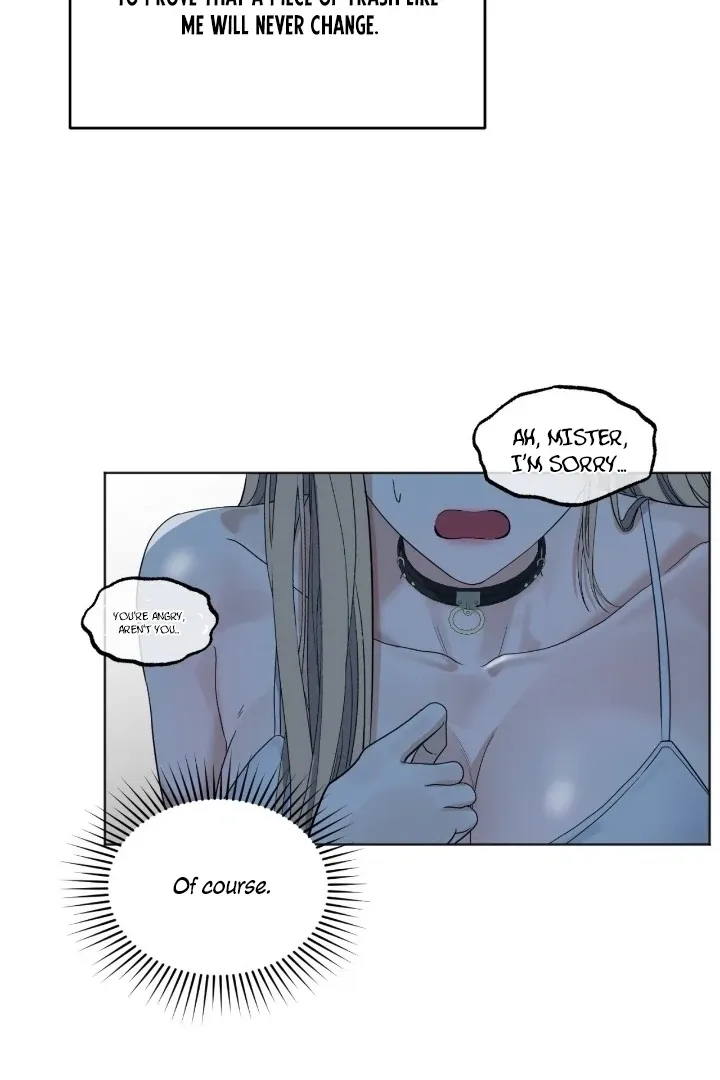 The Neighbor