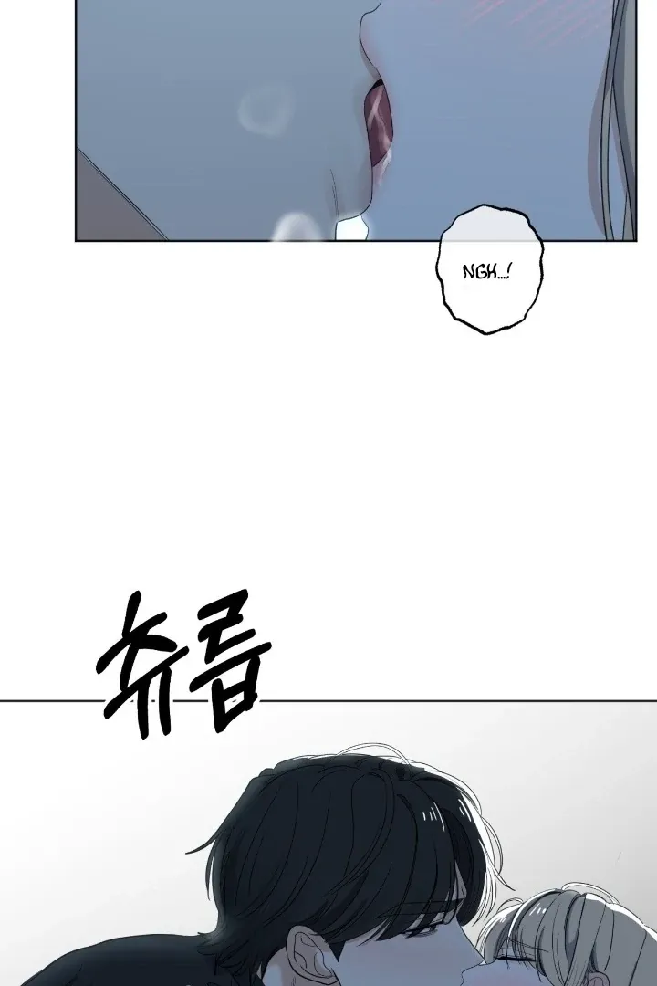 The Neighbor