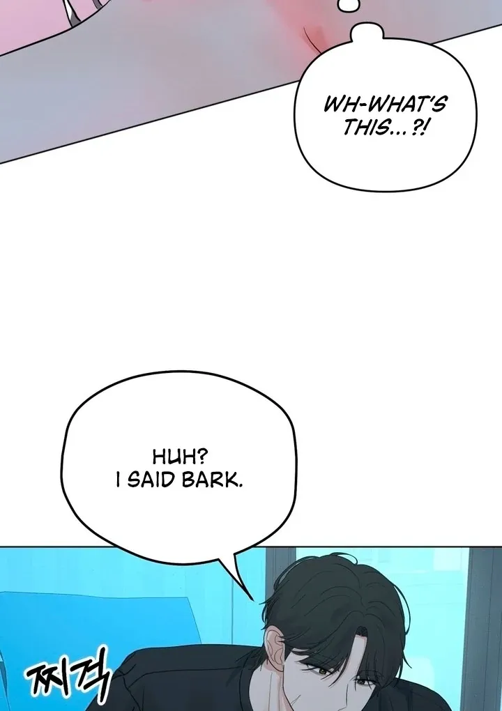 The Neighbor
