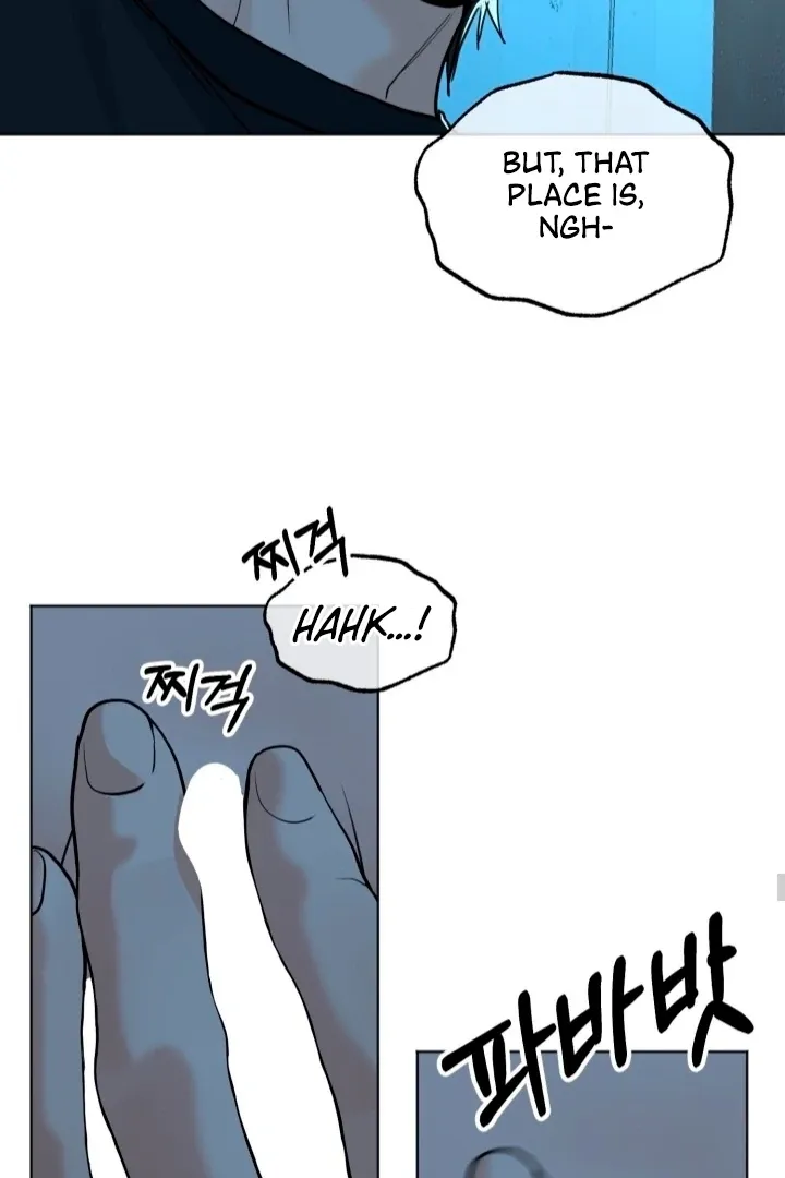 The Neighbor