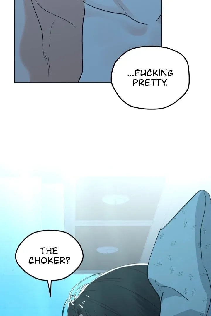 The Neighbor
