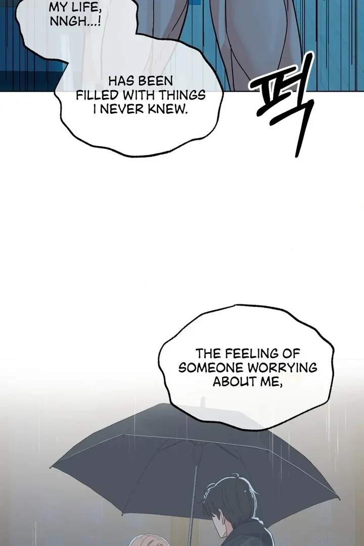 The Neighbor