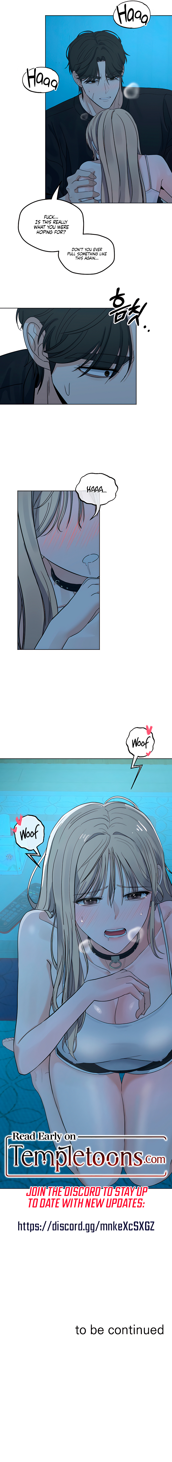 The Neighbor