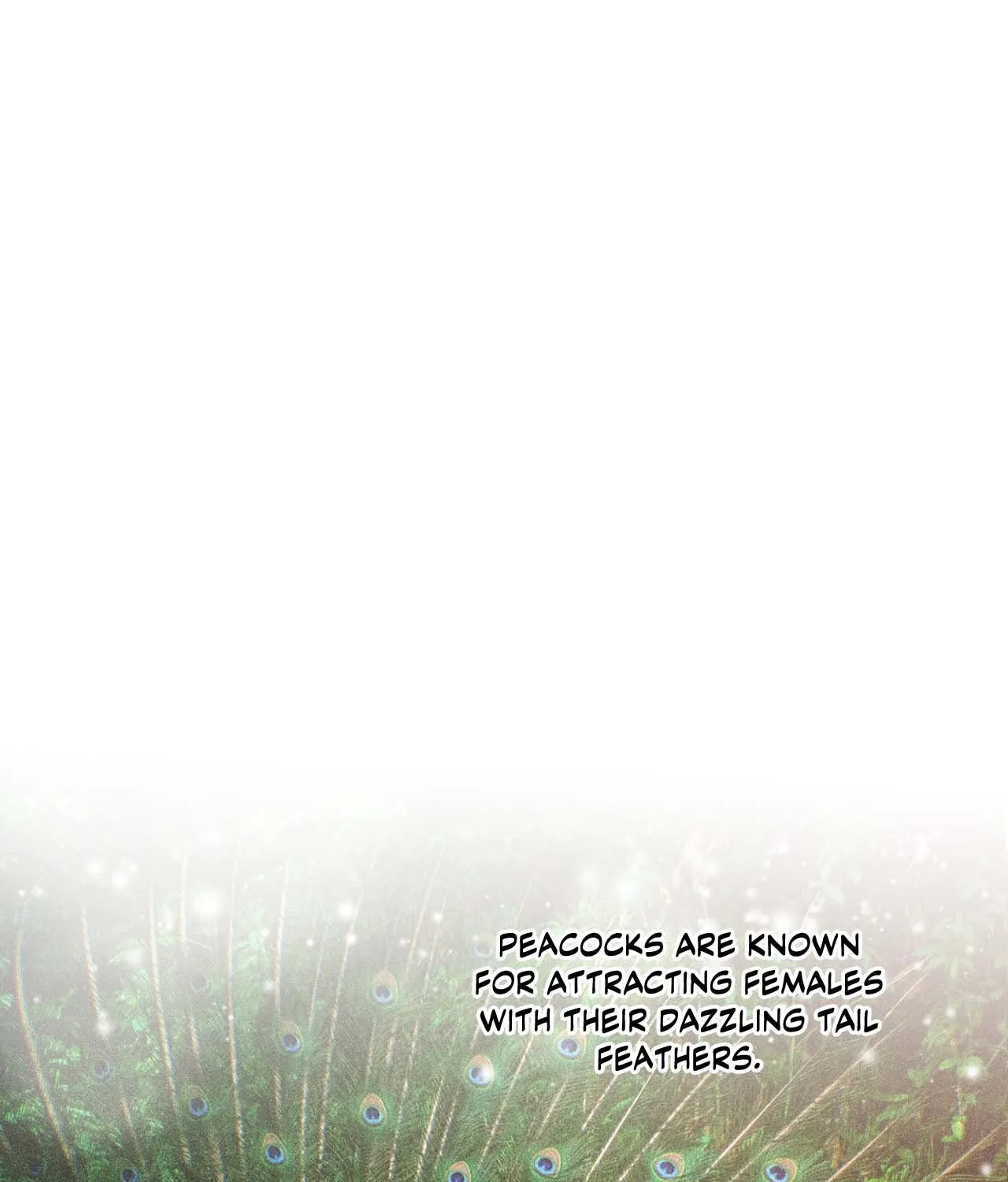 The Nerd Formula Chapter 10 page 1 - 