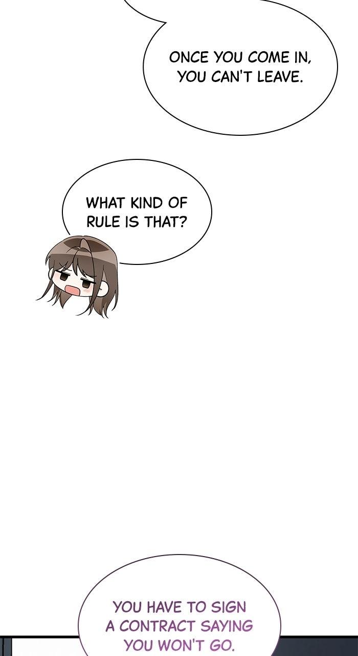 The New Hire
