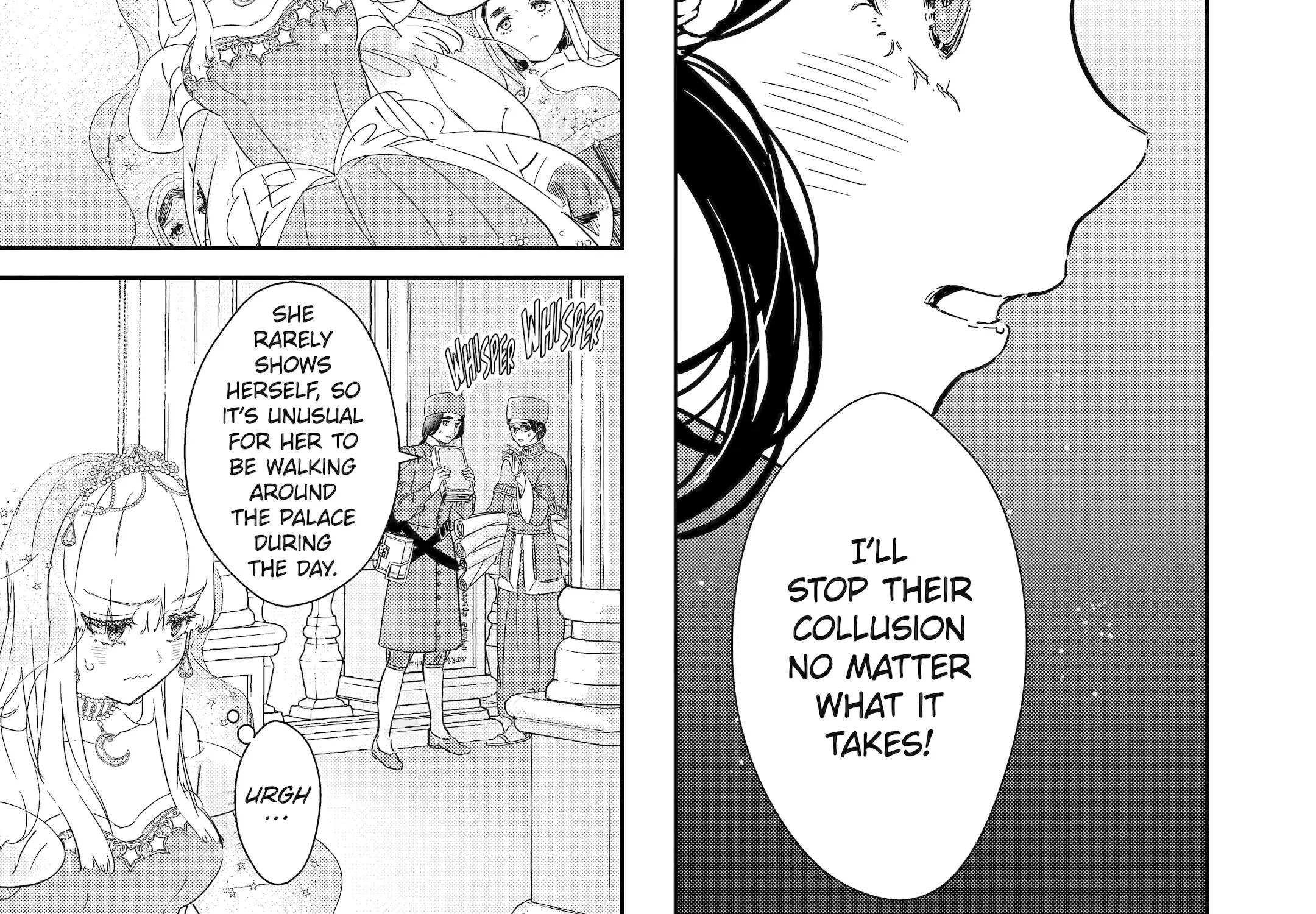 The Newbie Princess Doesn