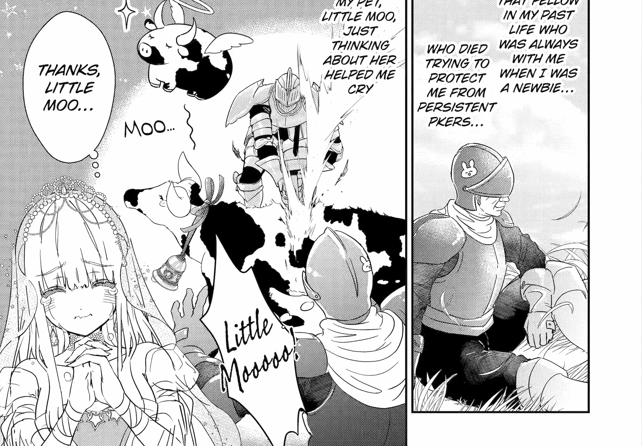 The Newbie Princess Doesn