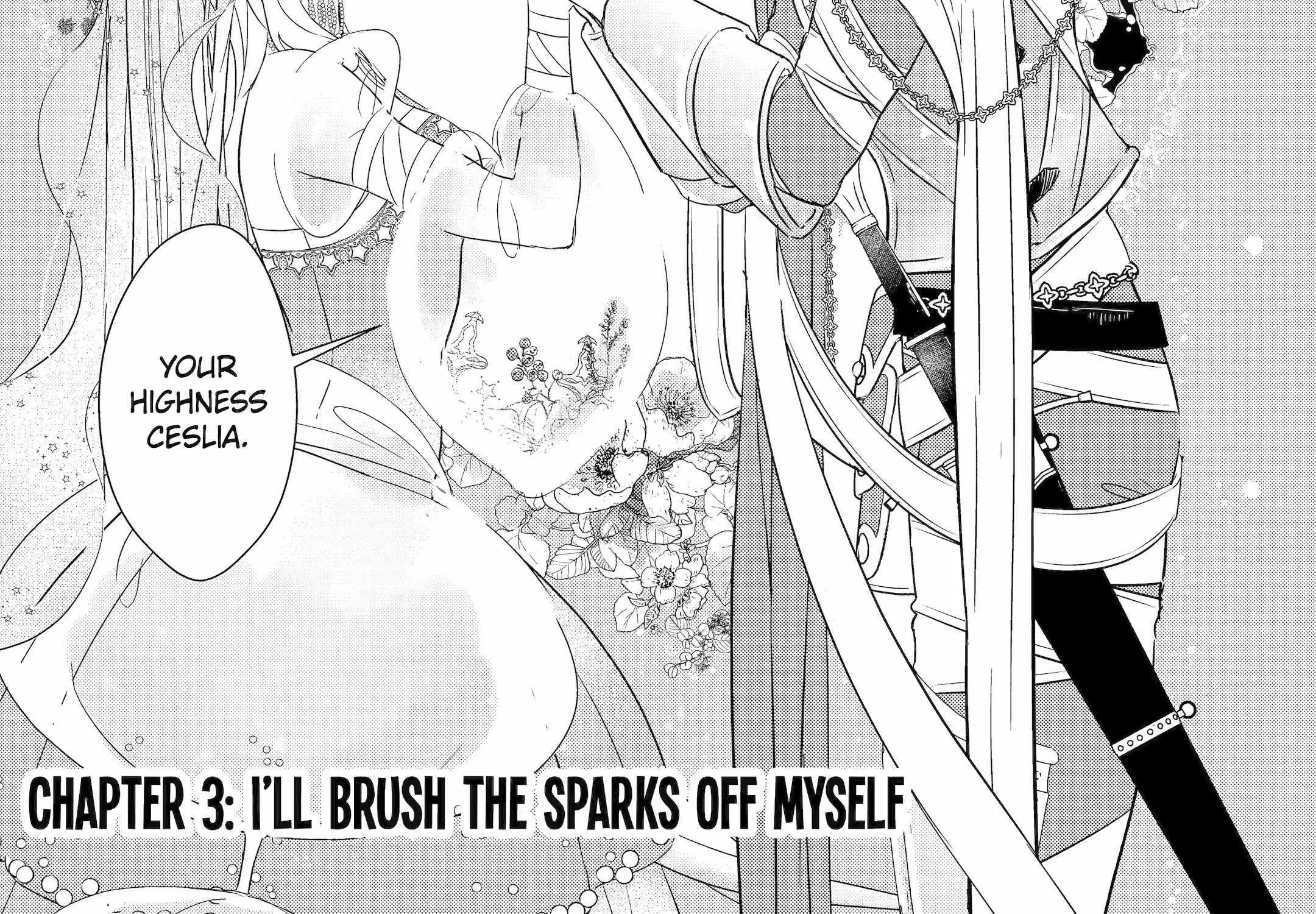 The Newbie Princess Doesn