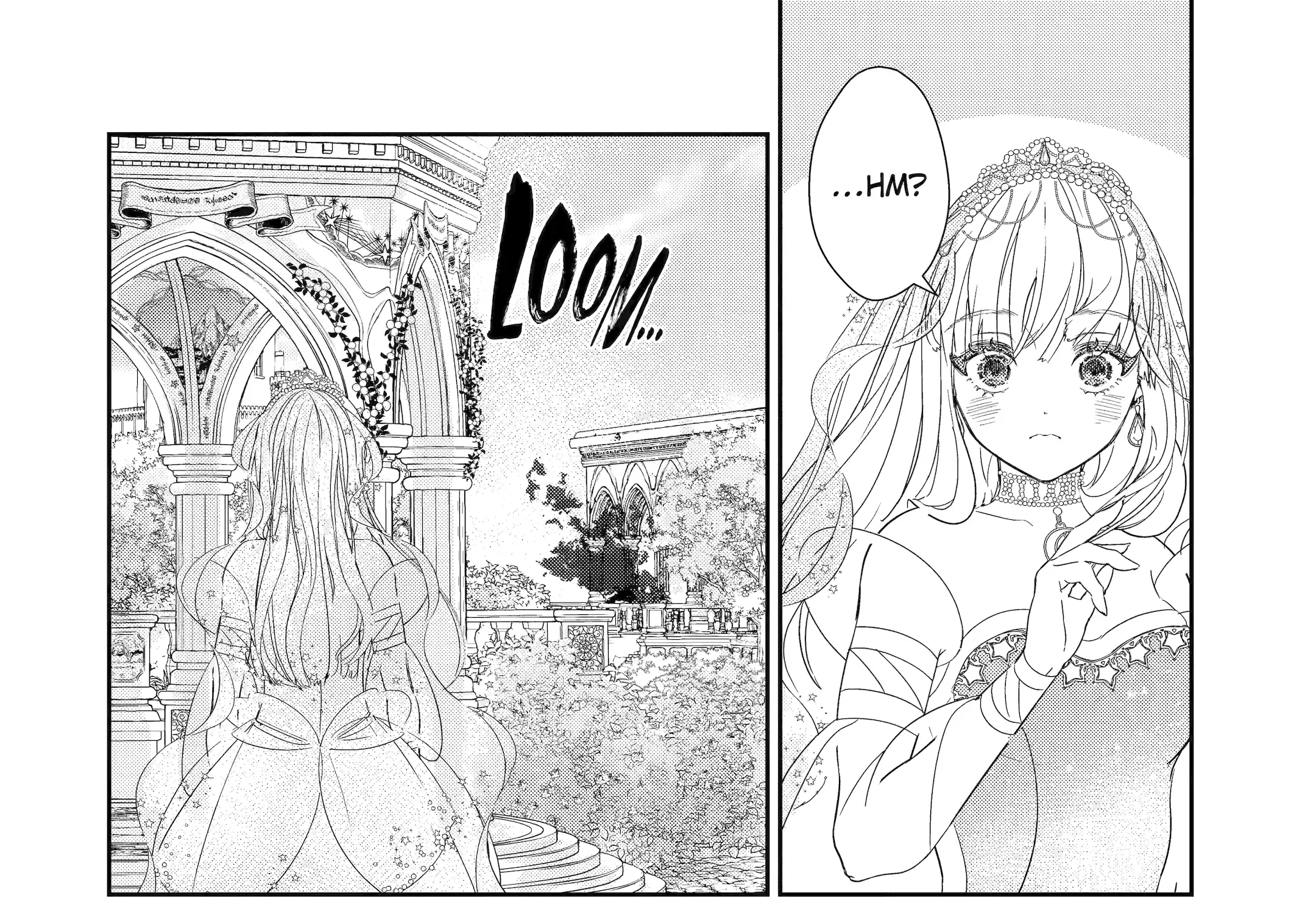 The Newbie Princess Doesn
