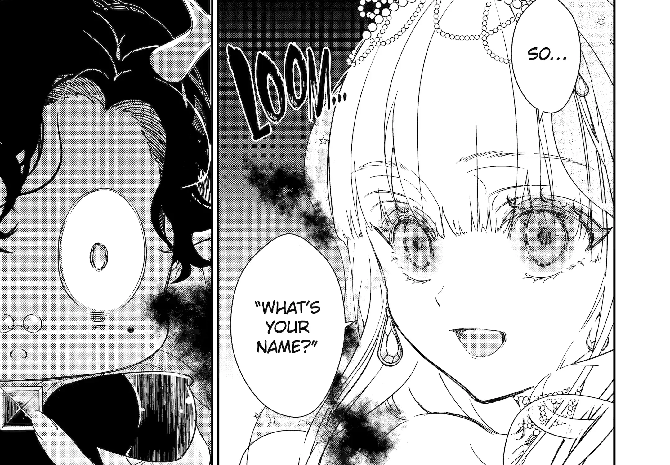 The Newbie Princess Doesn