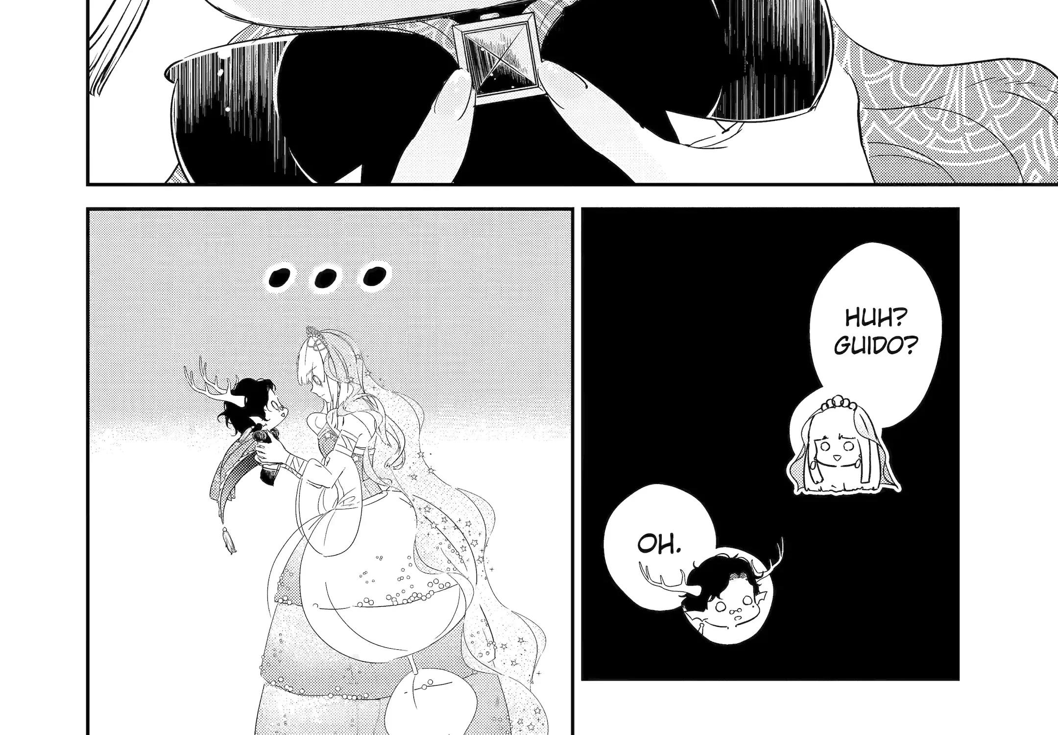 The Newbie Princess Doesn