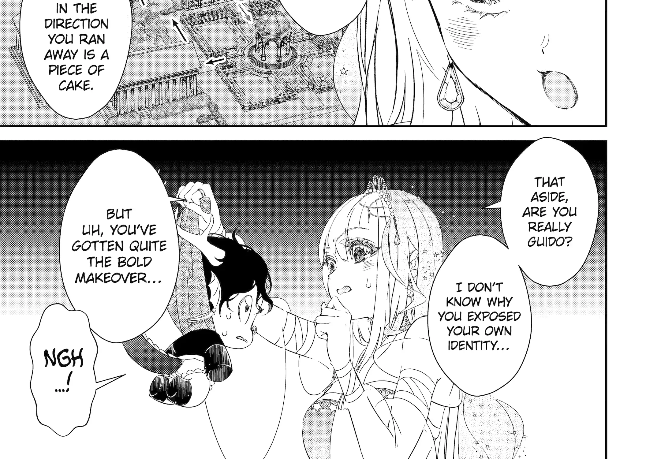 The Newbie Princess Doesn