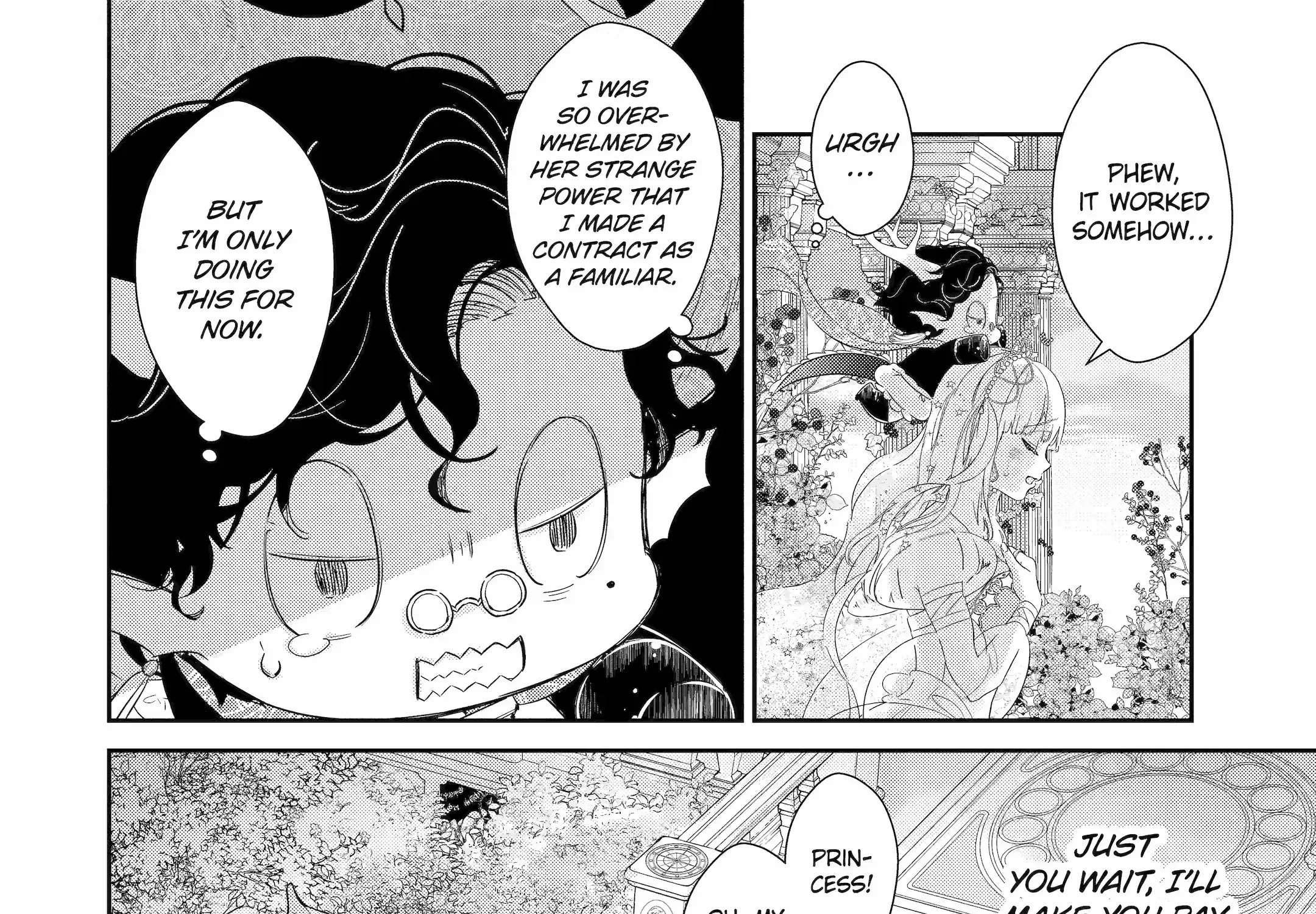 The Newbie Princess Doesn