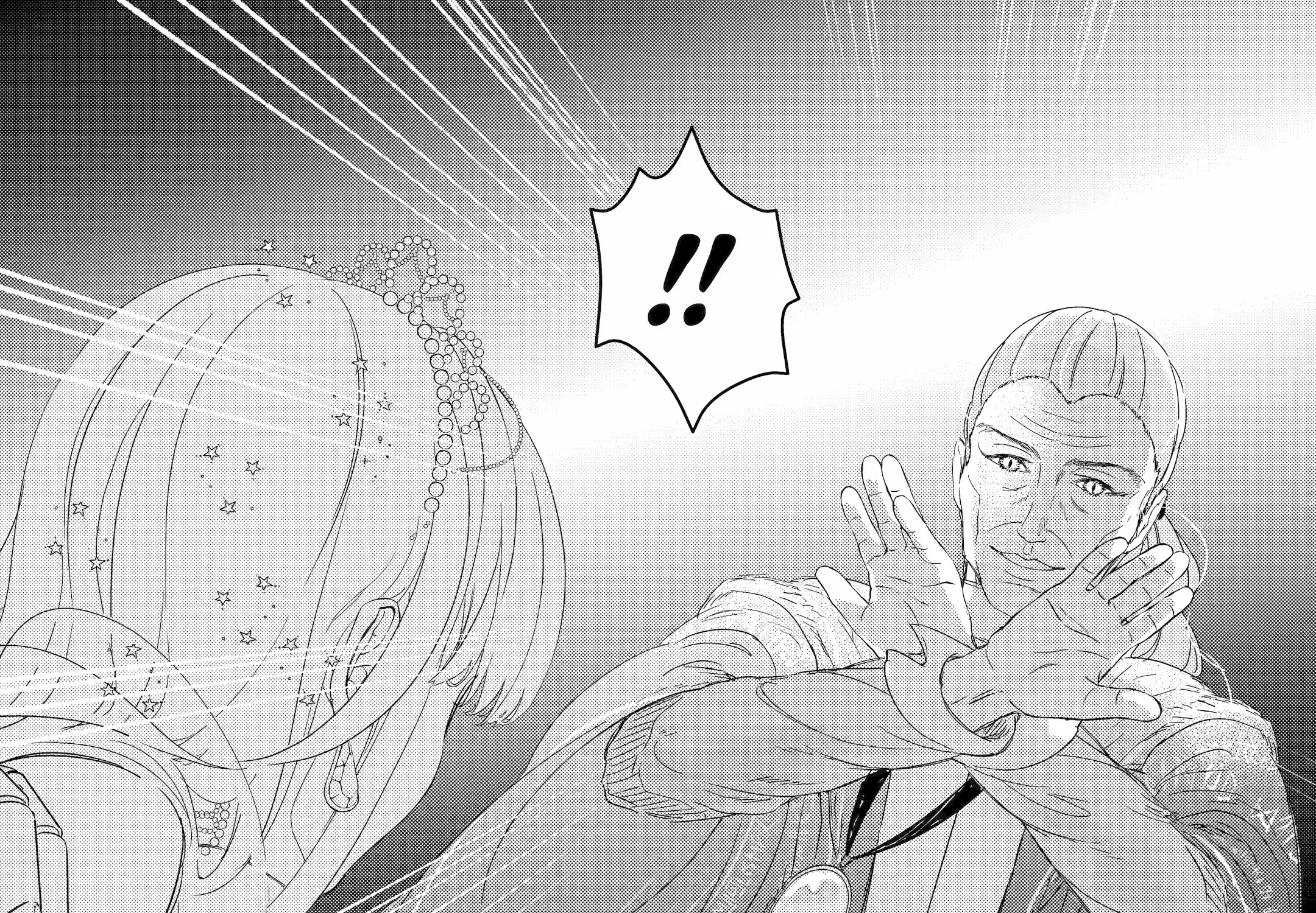 The Newbie Princess Doesn