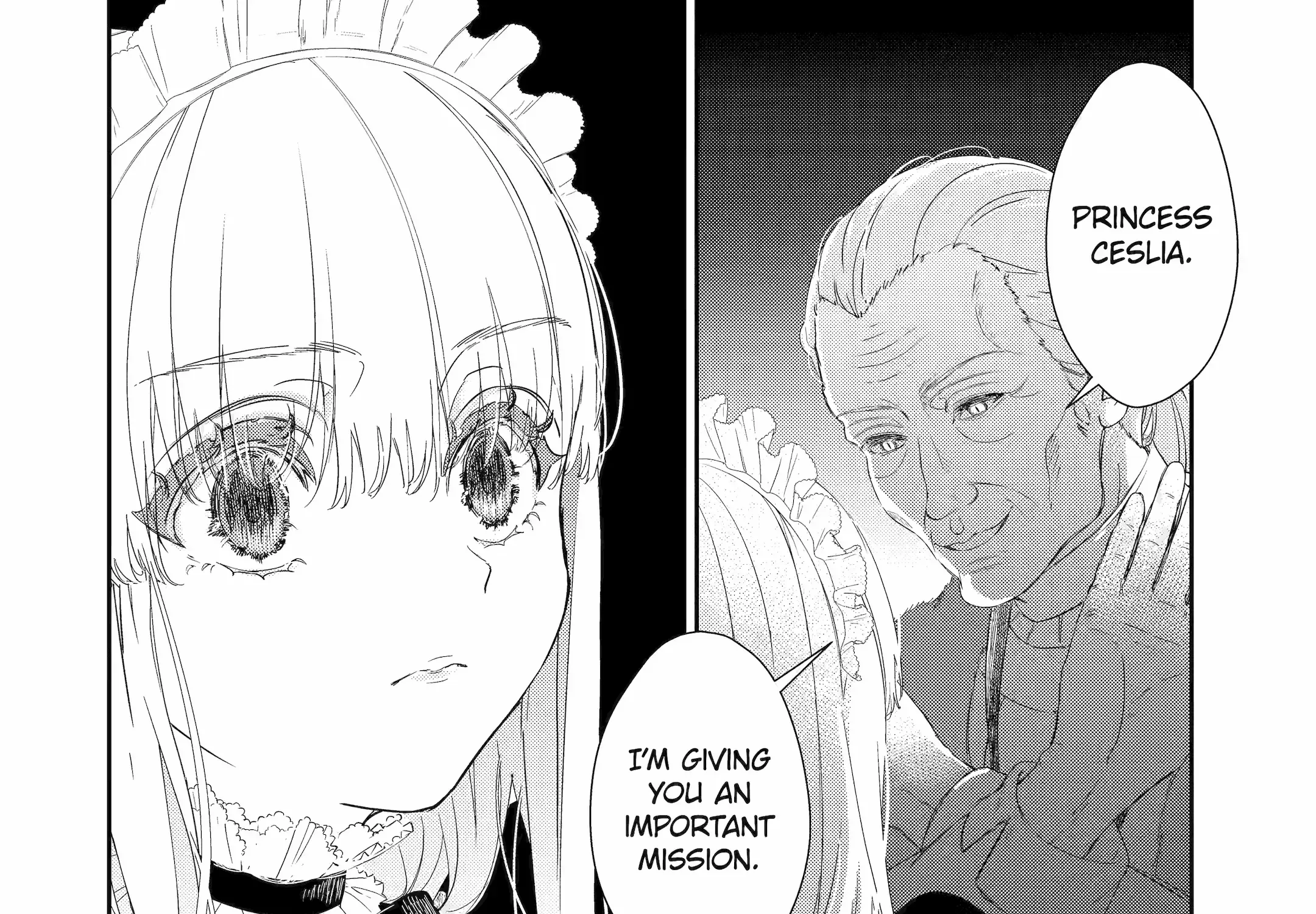 The Newbie Princess Doesn