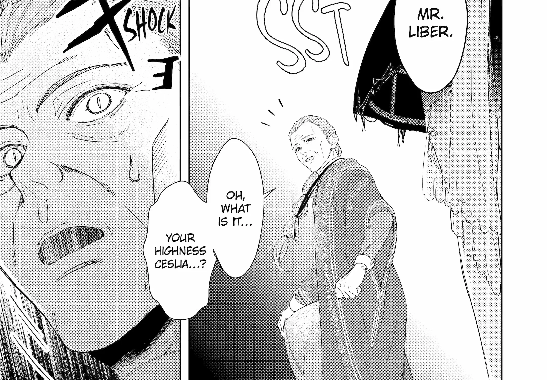 The Newbie Princess Doesn