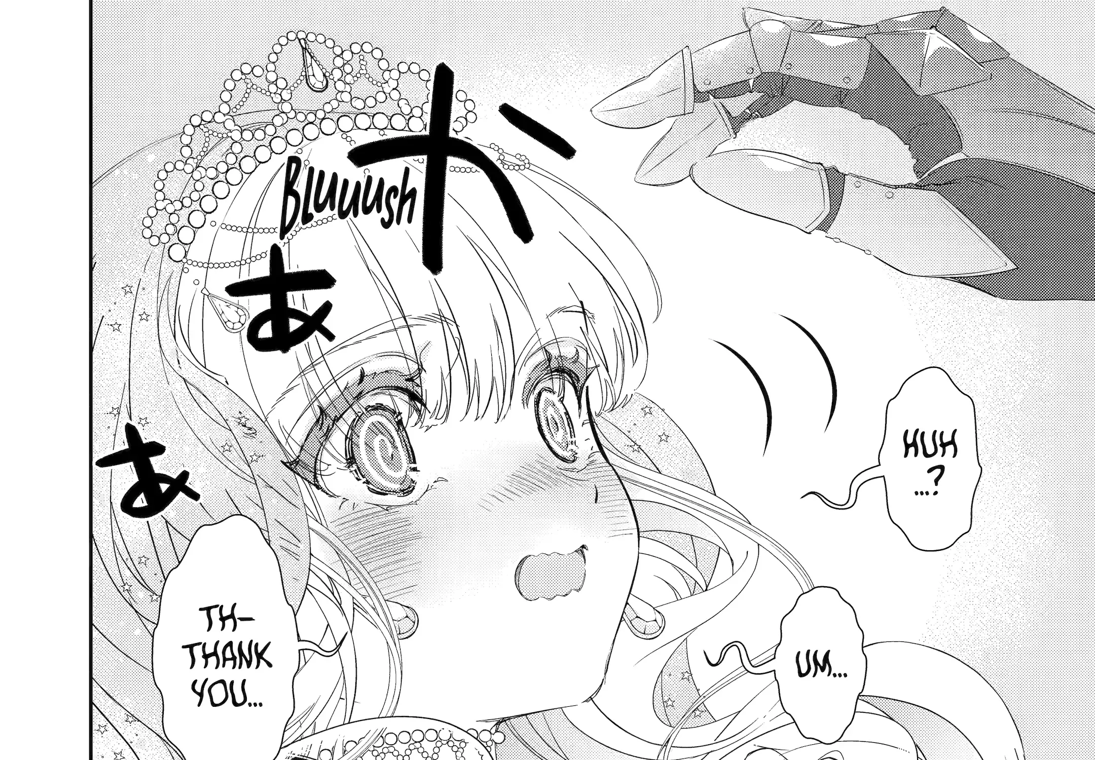 The Newbie Princess Doesn