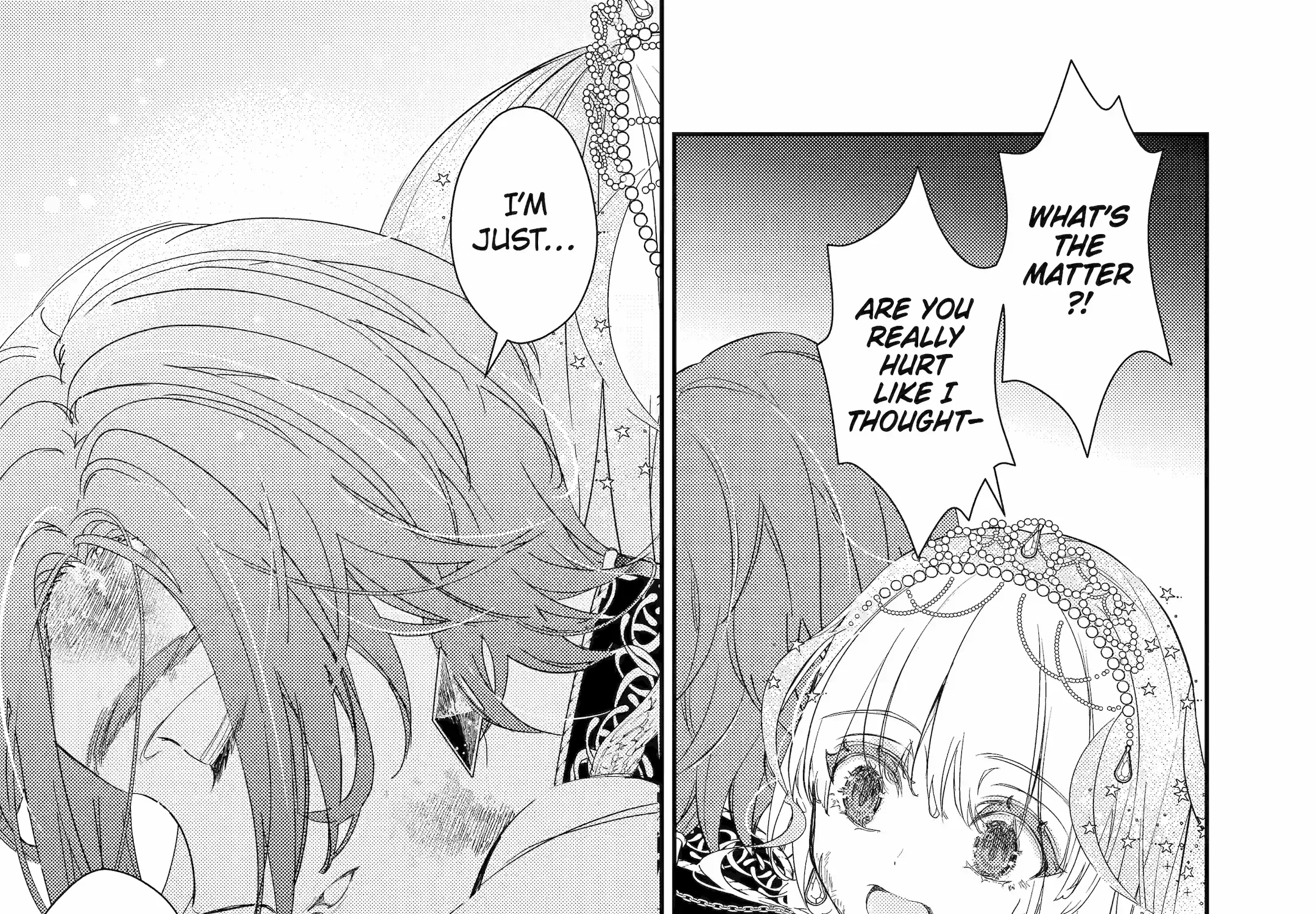 The Newbie Princess Doesn