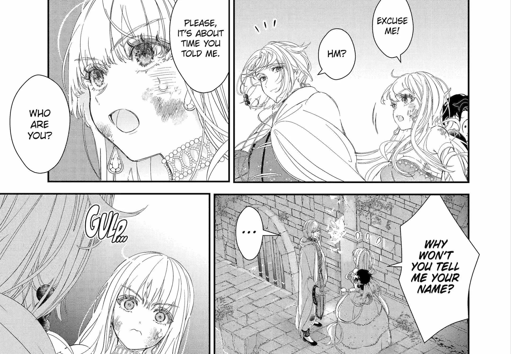 The Newbie Princess Doesn
