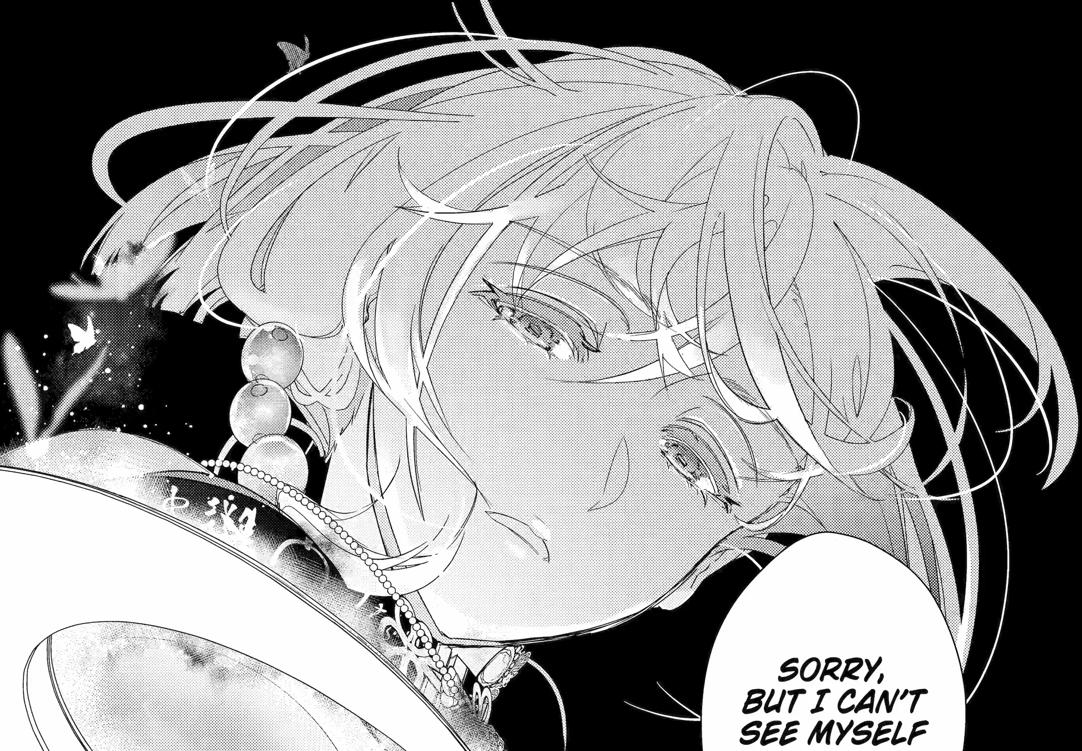 The Newbie Princess Doesn