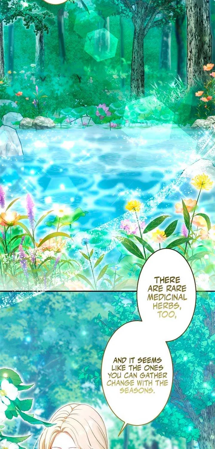 The Northern Warrior’s Beloved Bride Chapter 31 page 36 - 