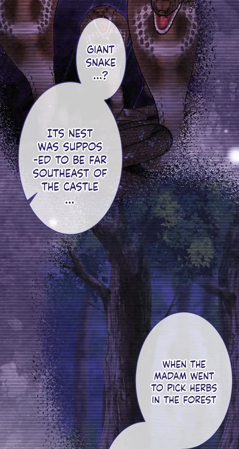 The Northern Warrior’s Beloved Bride Chapter 32 page 76 - 