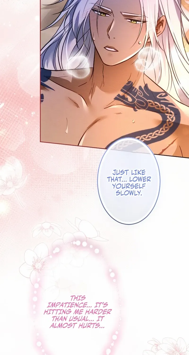 The Northern Warrior’s Beloved Bride Chapter 42 page 27 - 