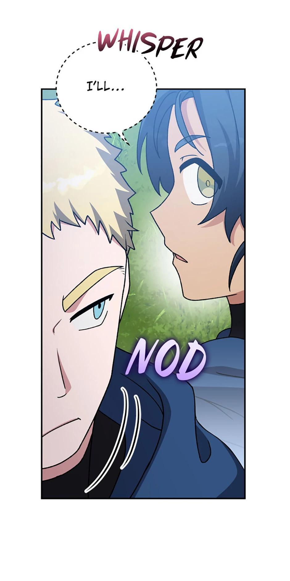 The Novel
