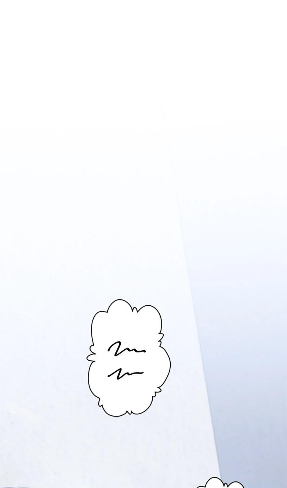 The Novel