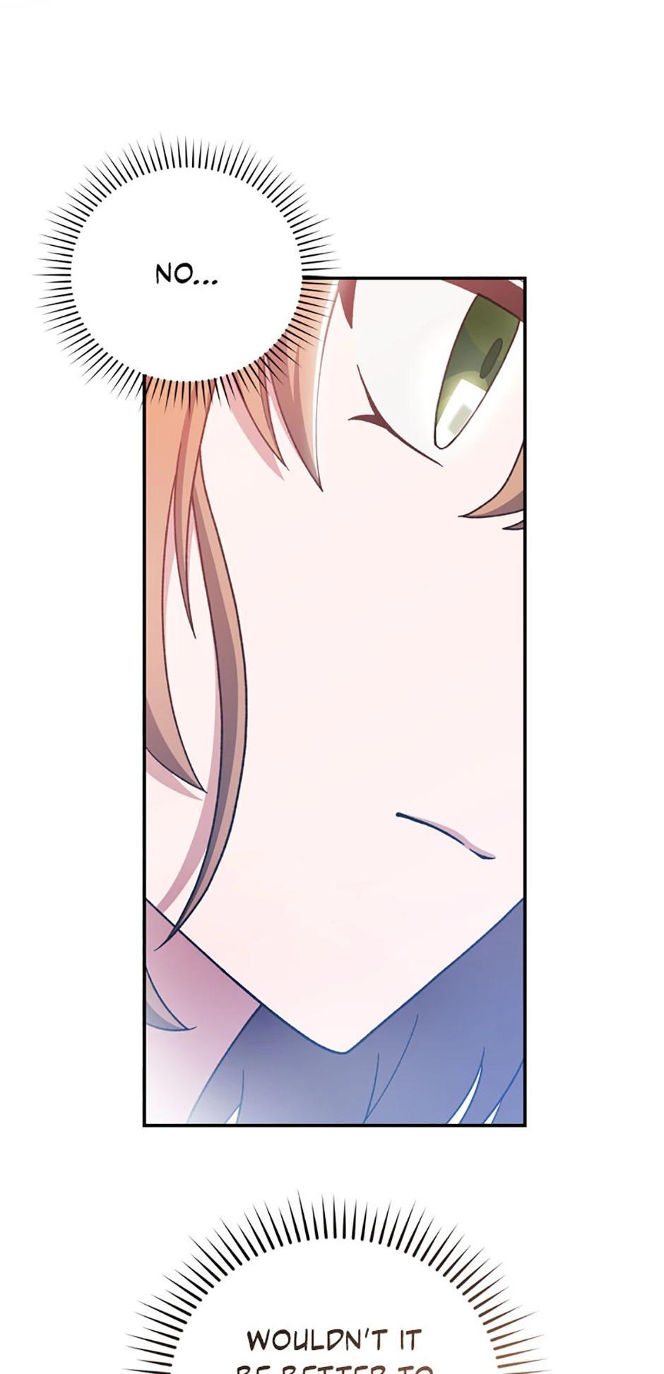 The Novel