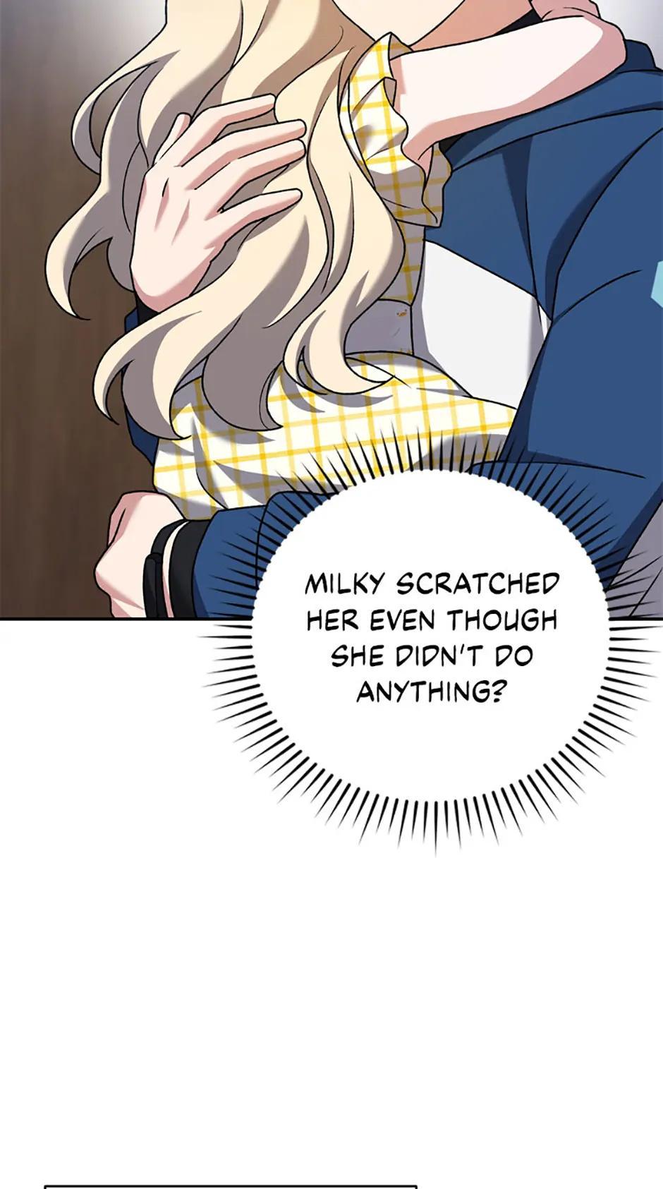 The Novel