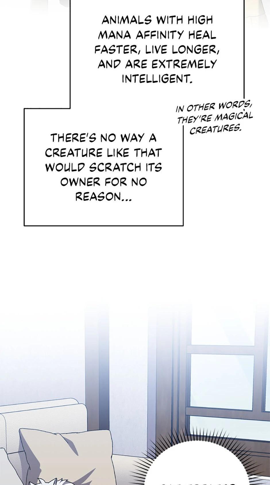 The Novel