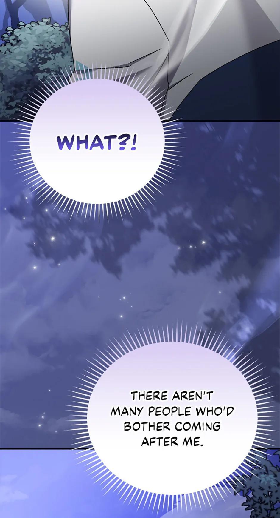 The Novel