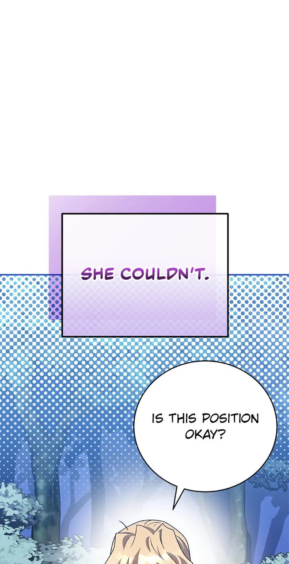 The Novel