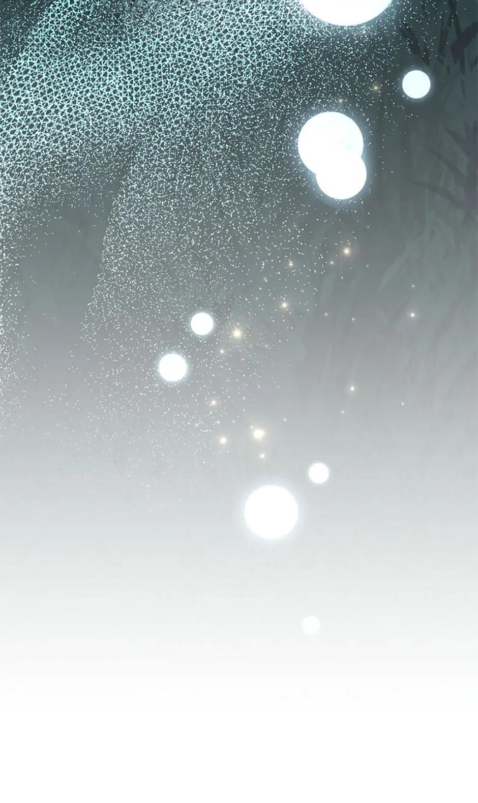 The Novel