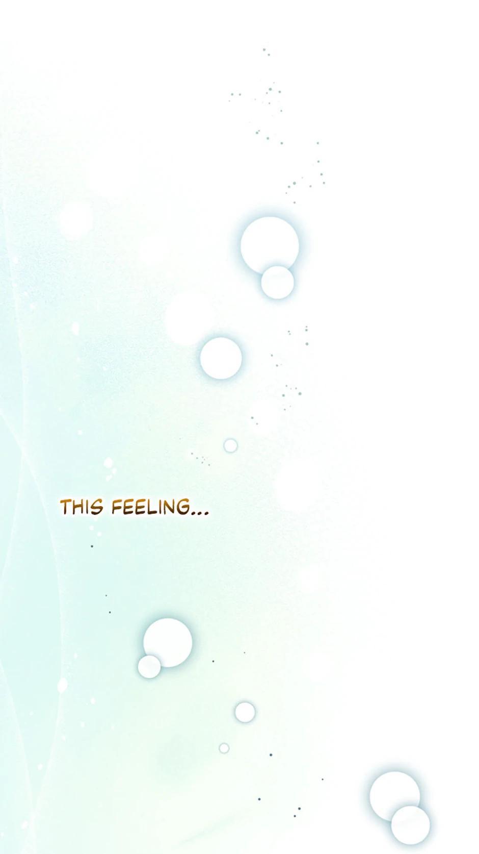 The Novel