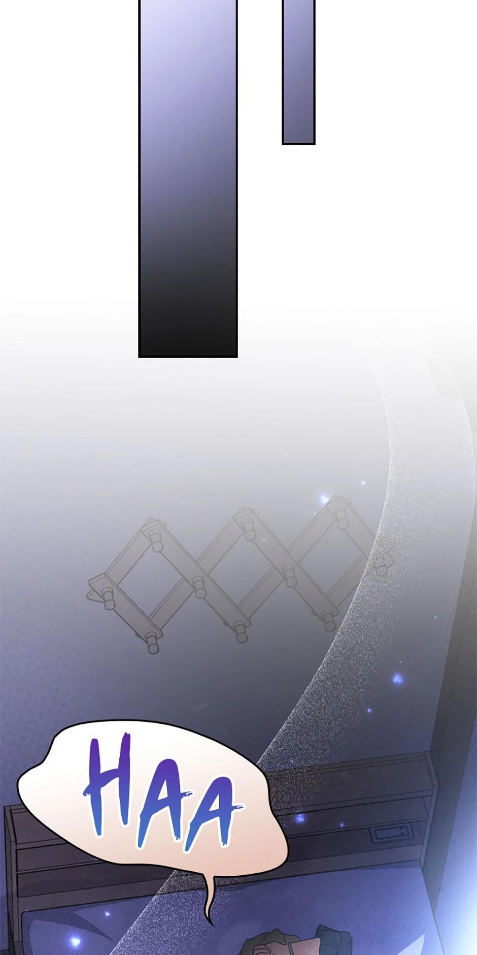 The Novel